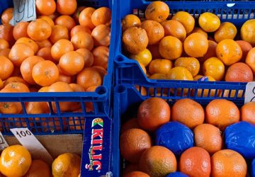 Скільки сортів мандаринів продають у Чернігові? Сім! Скільки сортів мандаринів продають у Чернігові? Сім!